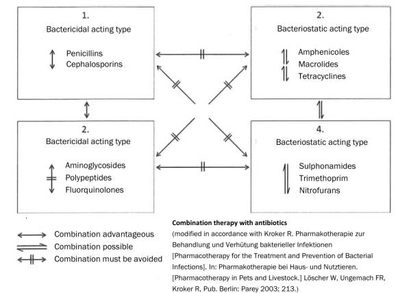 antibiotikakombinationen_loescher_et_al._2003_.jpg