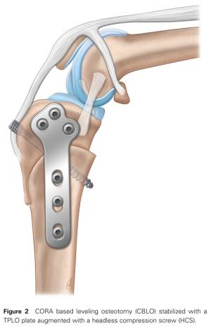 CBLO Schema (Raske et al., 2013)