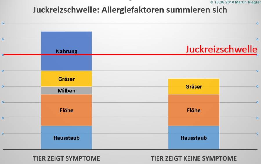 dermatologie_-_juckreizschwelle_m2_2018_.jpg