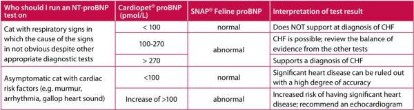 labor_-_nt-probnp-test_cardiac_education_group_2014_.jpg
