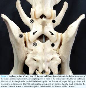 neurochirurgie_-_ces_stabilisierung_early_et_al._2015_.jpg