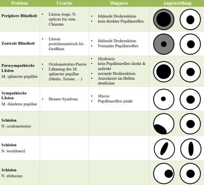 neurologie_-_pupillen_m2_2018_.jpg