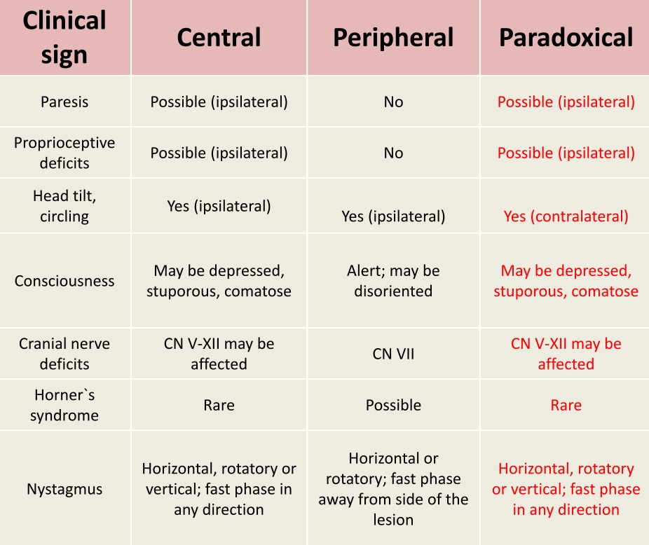 neurologie_-_vestibularsyndrom_zentral_peripher_paradox_esavs_2018_.jpg