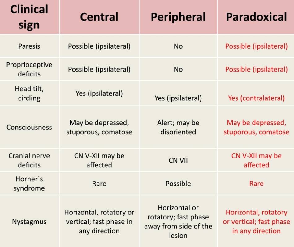 neurologie_-_vestibularsyndrom_zentral_peripher_paradox_esavs_2018_.jpg