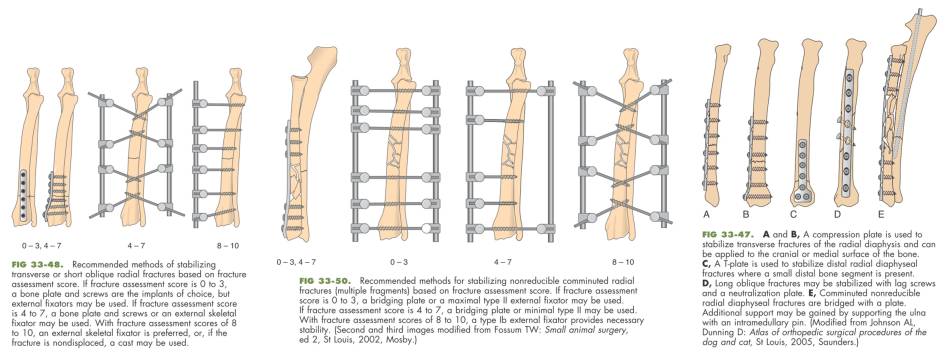 op_-_radius-ulna-fraktur_fossum_2013_.jpg