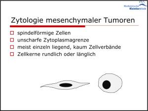 zytologie_mesenchymale_tumore_hirschberger_2016_.jpg