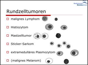 zytologie_rundzelltumore_hirschberger_2016_.jpg