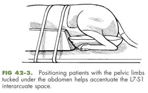 neurochirurgie_-_lagerung_ces-operationen_fossum_2013_.jpg neurochirurgie_-_lagerung_ces-operationen_fossum_2013_.jpg