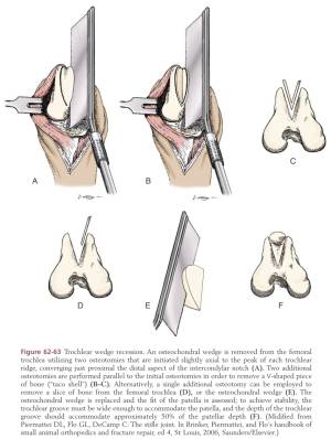 patellaluxation_wedgeosteotomie_tobias_johnston_2012_.jpg patellaluxation_wedgeosteotomie_tobias_johnston_2012_.jpg