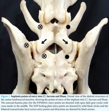 neurochirurgie_-_ces_stabilisierung_early_et_al._2015_.jpg neurochirurgie_-_ces_stabilisierung_early_et_al._2015_.jpg
