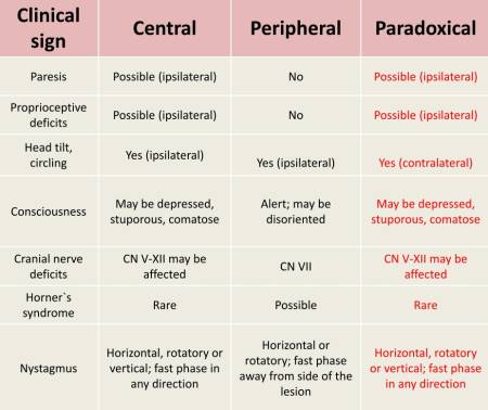neurologie_-_vestibularsyndrom_zentral_peripher_paradox_esavs_2018_.jpg neurologie_-_vestibularsyndrom_zentral_peripher_paradox_esavs_2018_.jpg