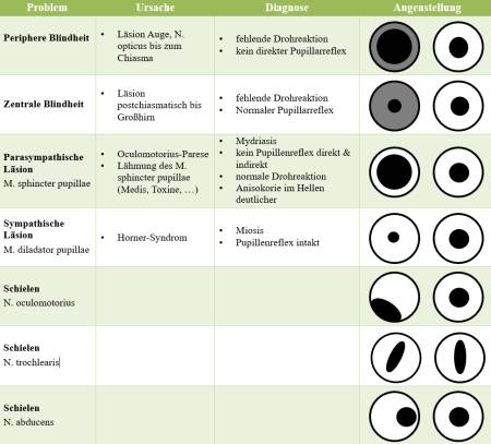 neurologie_-_pupillen_m2_2018_.jpg neurologie_-_pupillen_m2_2018_.jpg