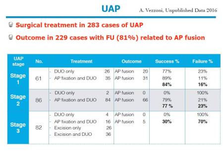 op_-_ipa_prognose_vezzoni_2016_.jpg op_-_ipa_prognose_vezzoni_2016_.jpg