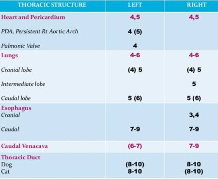 op_-_laterale_thorakotomie_zugaenge_gomez_et_al._2013_.jpg op_-_laterale_thorakotomie_zugaenge_gomez_et_al._2013_.jpg
