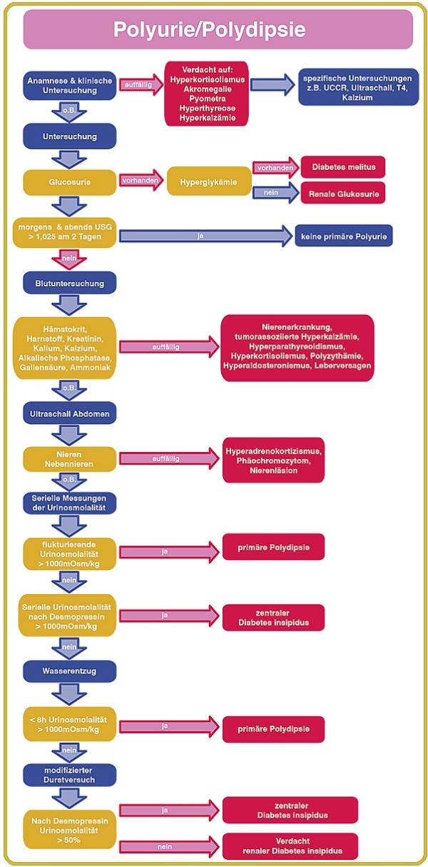 urogenitaltrakt_-_pupd_abklaerung_kooistra_rijnberk_2010_.jpg urogenitaltrakt_-_pupd_abklaerung_kooistra_rijnberk_2010_.jpg