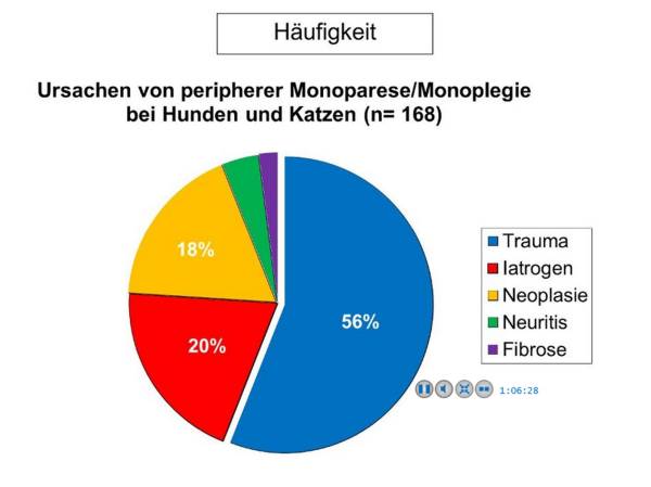 Ursachen Monoparese (Forterre, 2021) Ursachen Monoparese (Forterre, 2021)