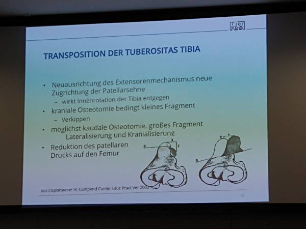 op_tub.tibiaetransposition.jpg op_tub.tibiaetransposition.jpg