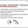 zytologie_epitheliale_tumore_hirschberger_2016_.jpg