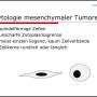 zytologie_mesenchymale_tumore_hirschberger_2016_.jpg