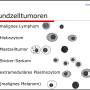zytologie_rundzelltumore_hirschberger_2016_.jpg