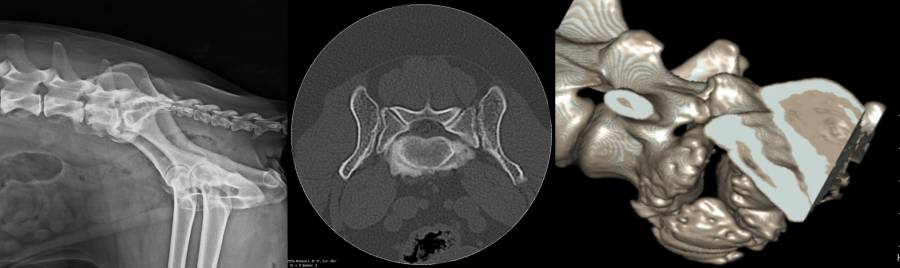 orthopaedie_-_foraminostenose_rx_und_ct_m2_2018_.jpg orthopaedie_-_foraminostenose_rx_und_ct_m2_2018_.jpg
