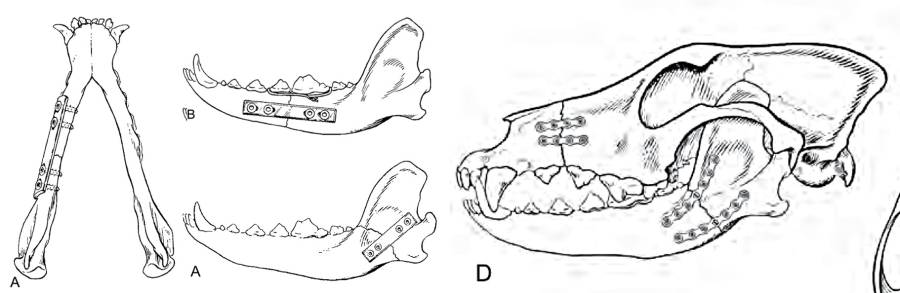 op_-_unterkieferfraktur_platte_1_piermattei_et_al._2017_.jpg op_-_unterkieferfraktur_platte_1_piermattei_et_al._2017_.jpg