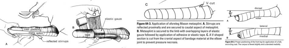 orthopaedie_-_verband_schiene_ve_bojrab_2014_.jpg orthopaedie_-_verband_schiene_ve_bojrab_2014_.jpg